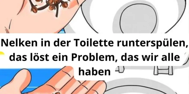 Nelken in der Toilette runterspülen, das löst ein Problem, das wir alle haben