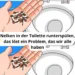 Nelken in der Toilette runterspülen, das löst ein Problem, das wir alle haben