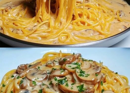 Spaghetti aus der Pfanne mit 250 g Champignons und Käse