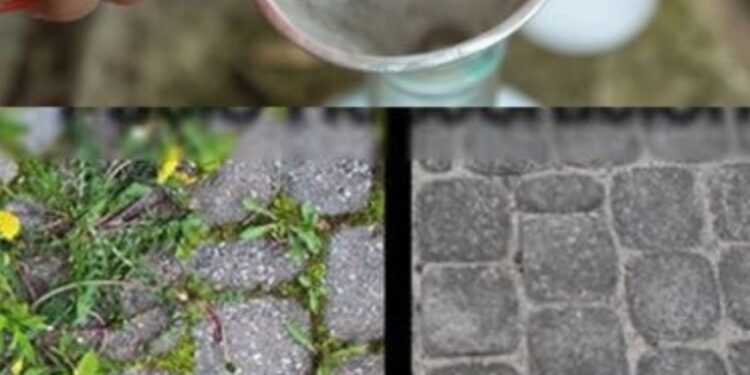 Unkultivierter Garten, nur mit dieser Zutat beseitigen Sie jegliches Unkraut und Sträucher