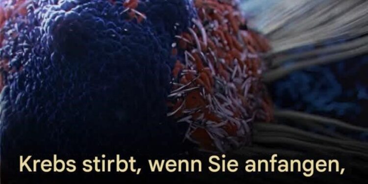 8 wirksame Anti-Krebs-Lebensmittel, die Sie in Ihre Ernährung aufnehmen sollten