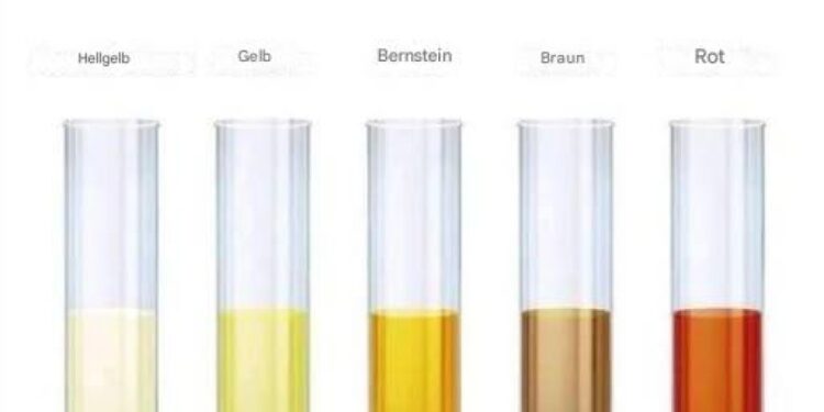 Finden Sie heraus, was Ihnen schaden könnte!