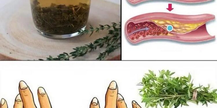 Das Wundermittel der Natur für eine Vielzahl von Gesundheitsproblemen