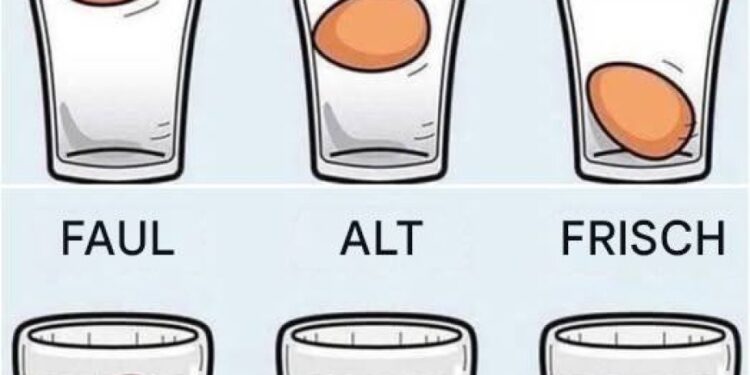 Präziser geht’s nicht Die genaueste Art, Hühnereier auf Frische zu prüfen
