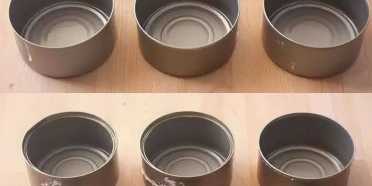 Werfen Sie Thunfischdosen nicht weg, sie sind zu Hause Gold wert: So verwenden Sie sie wieder