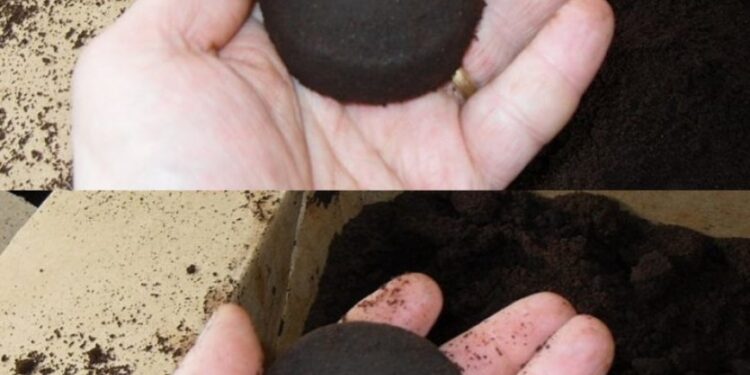 Den Kaffeesatz wegzuwerfen ist das Dümmste, was man tun kann. Es ist ein unschätzbarer Helfer zu Hause und im Garten