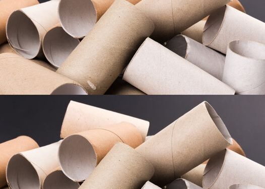 Werfen Sie die Papprollen nicht mehr weg, das, was Sie dabei herausholen, ist sehr wertvoll