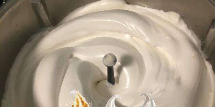 Sandy-Eis von Burger King mit Thermomix