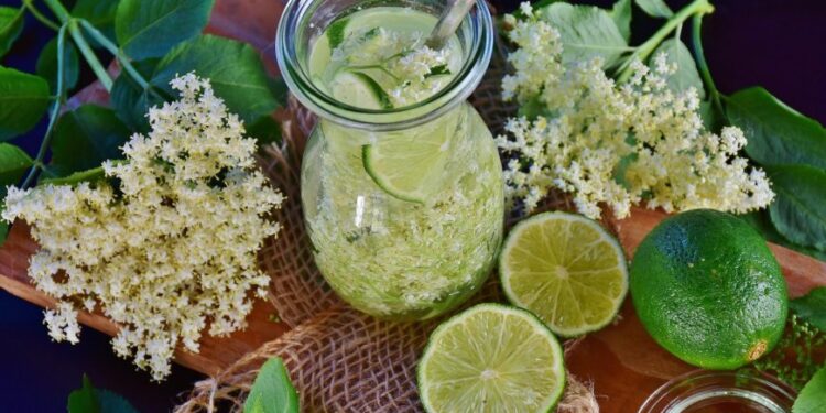 Holunderblüten blühen jetzt: 6 Ideen für die Verwendung der duftenden Blüten.