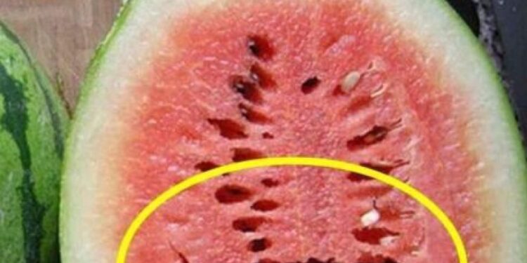 Wenn Sie eine Wassermelone öffnen und das sehen, werfen Sie sie weg!