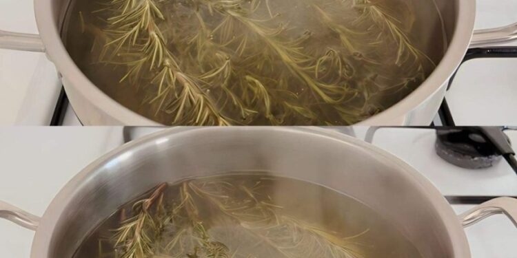 Kochen Sie 5 Rosmarinzweige, Sie werden ein lästiges Problem los