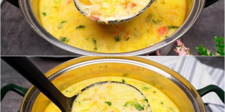 Ich koche diese Gemüsesuppe fast jeden Tag zum Essen