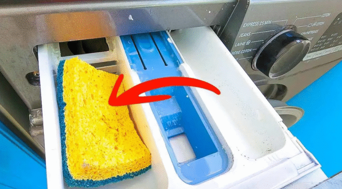 Legen Sie einen Spülschwamm in das Waschmaschinenfach: Es ist die effektive Lösung für ein häufiges Problem