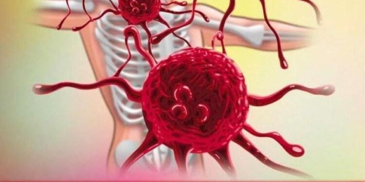 10 Lebensmittel, die Krebs vorbeugen und bekämpfen