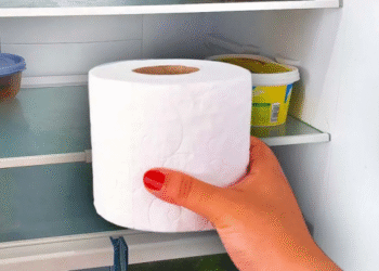 Toilettenpapier in den Kühlschrank legen: Der Zaubertrick, der ein Problem löst, das wir alle haben
