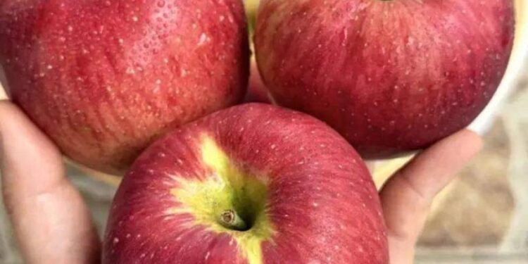 Ärzte enthüllen, dass der Verzehr von Äpfeln folgende Auswirkungen hat