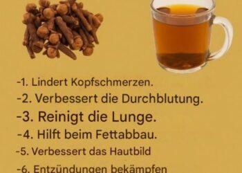 Nelkentee: Nutzen, Rezepte und Vorsichtsmaßnahmen