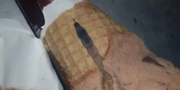 Meine Tochter öffnete eine Tüte Schokoladeneis und fand etwas Seltsames darin