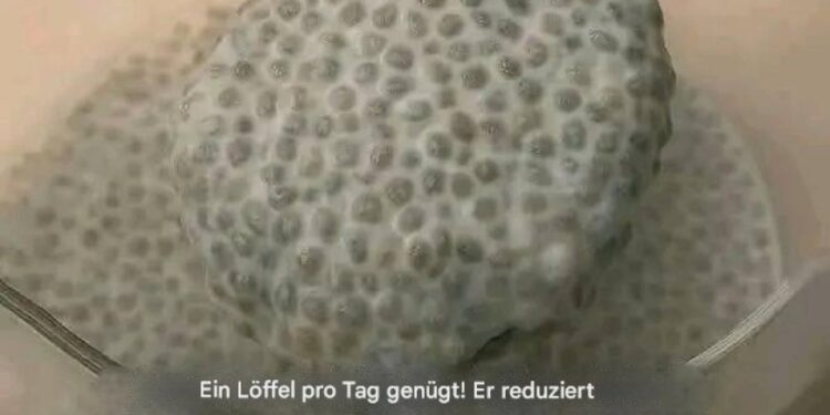 Ein einziger Löffel täglich genügt! Er senkt das schlechte Cholesterin, reinigt die Arterien, reguliert den Blutzuckerspiegel und zügelt sogar den Appetit.