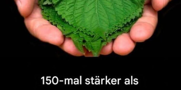 150-mal stärker als Zitrone und Knoblauch!
