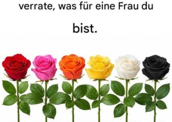 Wähle eine Rose und verrate, was für eine Frau du bist.