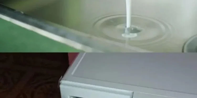 3 Tropfen Shampoo in der Waschmaschinenschublade: Das Geheimnis der Wäscherei