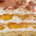Pfirsich-Schmand-Kuchen – Fruchtig & Cremig!