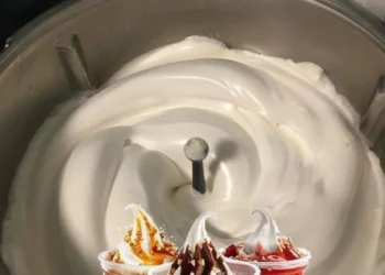 Sandy-Eis von Burger King mit Thermomix