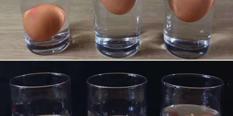3 Technik, um zu erkennen, ob ein Ei frisch oder faul ist