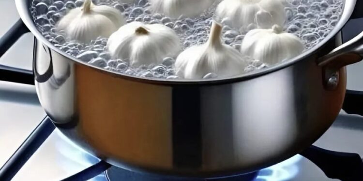 Meine Großmutter hat immer die Gewohnheit gehabt, Knoblauch zu kochen, und als ich herausfand, warum, war ich überrascht