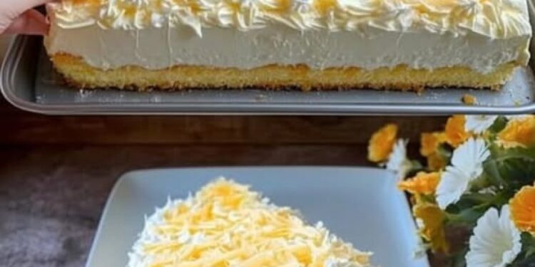 Fantakuchen mit Paradiescreme und 2 Dosen Mandarinen