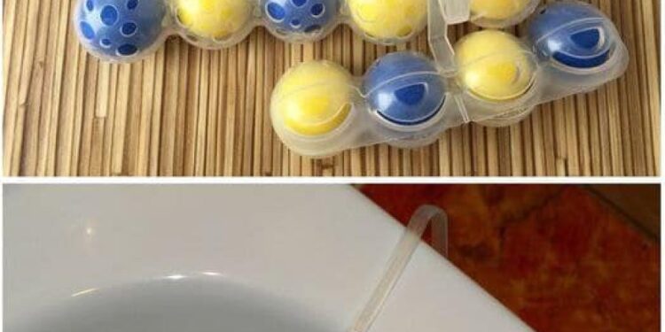 Mein ganzes Leben lang habe ich den Toilettenblock falsch benutzt: Ich habe ihn am Rand aufgehängt, aber es muss anders gemacht werden