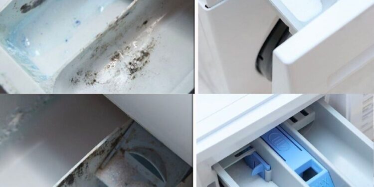 Der geniale Trick zum Reinigen der Waschmaschinenschublade: Sie ist wieder wie neu und frei von Schimmel