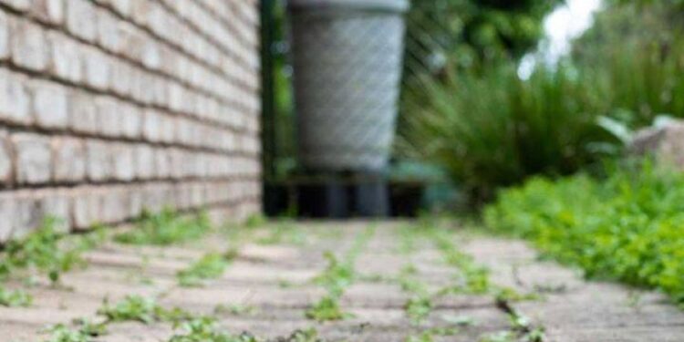 Davon hatte ich keine Ahnung! Gut zu wissen