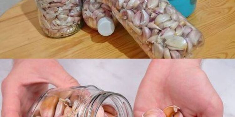 Knoblauch ist ein Jahr lang immer frisch und unversehrt: Diesen Trick kennen nur Köche in der Küche