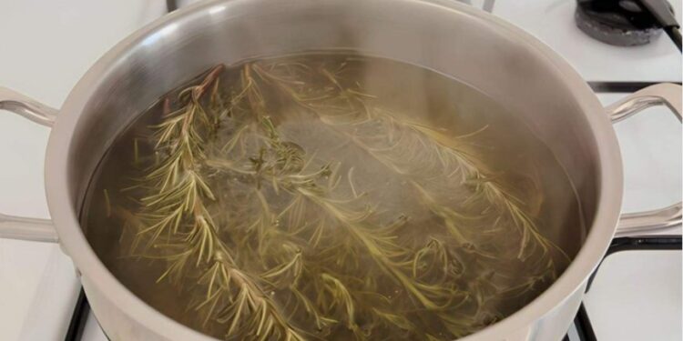 Kochen Sie 5 Zweige Rosmarin, Sie werden ein lästiges Problem los