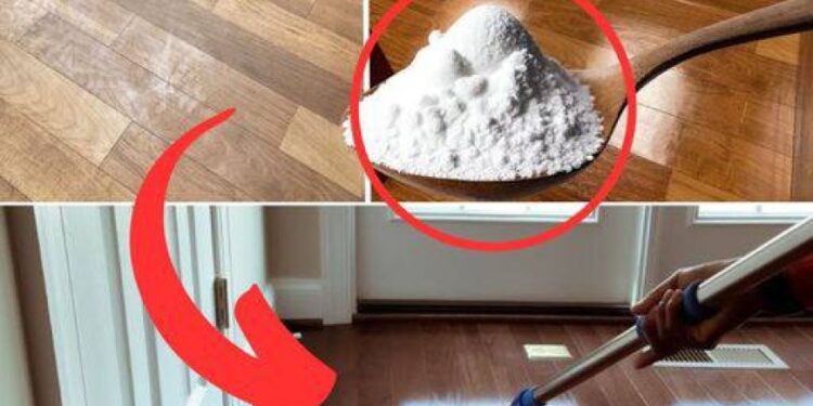 Strahlend saubere Böden ohne Chemie: Das Geheimnis der Profis