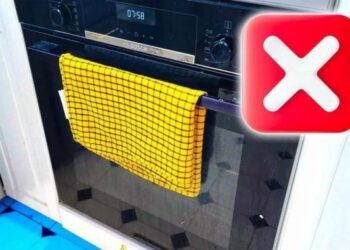 Warum nie ein Geschirrtuch auf die Backofentür legen? Der häufigste Fehler, der Ärger macht
