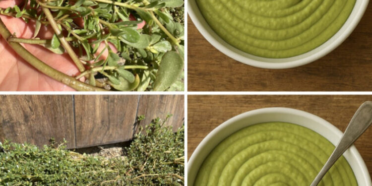 Diese Pflanze schmeckt besser als Fleisch! 7 Gründe, sie im Garten zu halten