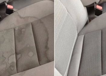 10 Tipps, um Ihr Auto immer sauber zu halten