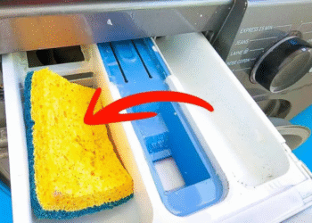 Legen Sie einen Spülschwamm in das Waschmaschinenfach: Es ist die effektive Lösung für ein häufiges Problem