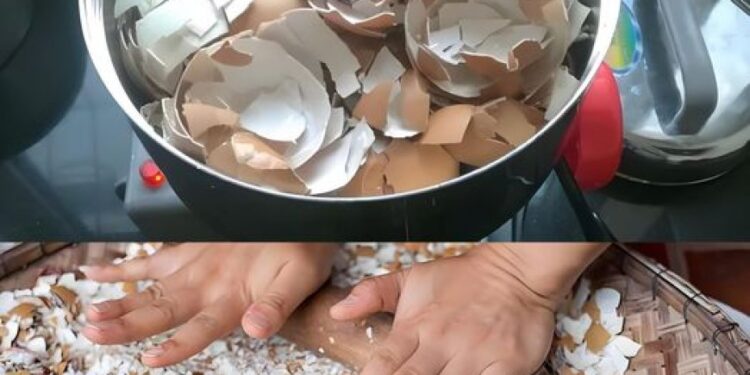 Eine natürliche Bombe für Pflanzen, gießen Sie sie einfach in die Erde, um sie wieder zum Leben zu erwecken