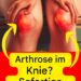 Entlasten Sie Ihre Knie sanft: 10 Tipps, die von Gesundheitsexperten validiert wurden