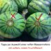 Der Trick bei der Auswahl einer reifen Wassermelone mit süßem, rotem Fruchtfleisch