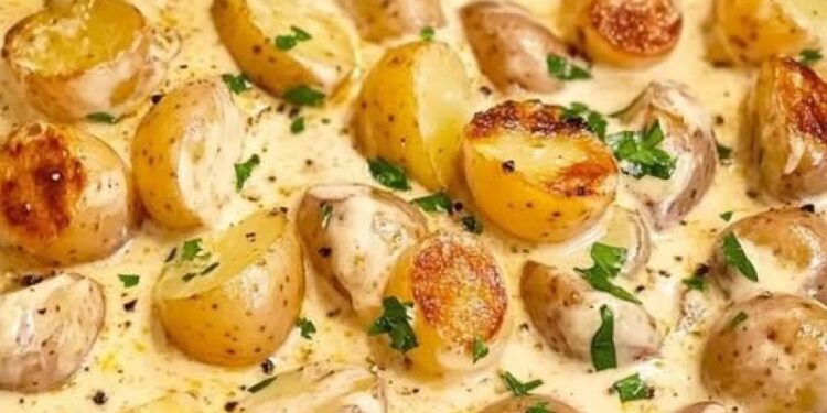 Himmlische Knoblauch-Kartoffeln in Sahnesauce – Ein Genuss für jeden Tag
