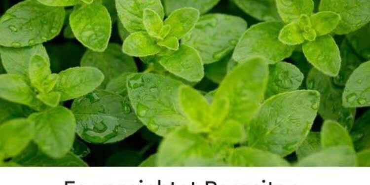 Sie ist eine der stärksten Pflanzen der Welt