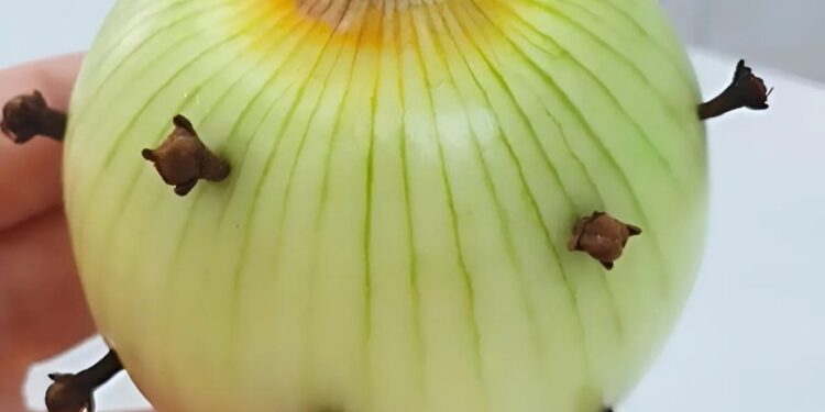 Meine französische Großmutter steckt immer Nelken in eine Zwiebel: Ich war überrascht, als ich herausfand, warum