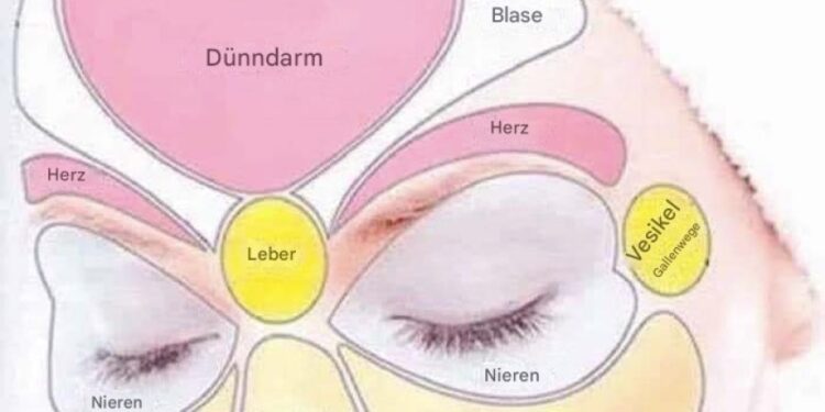 Face Mapping: Was Ihre Haut über Ihre Gesundheit verrät