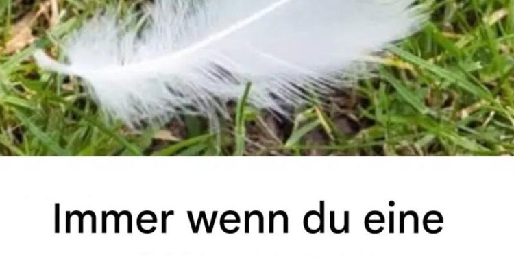 Die verborgene Botschaft hinter der Suche nach einer weißen Feder: Spirituelle und aufschlussreiche Bedeutung
