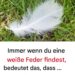 Die verborgene Botschaft hinter der Suche nach einer weißen Feder: Spirituelle und aufschlussreiche Bedeutung